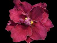 LE-Korol' Artur (King Arthur)